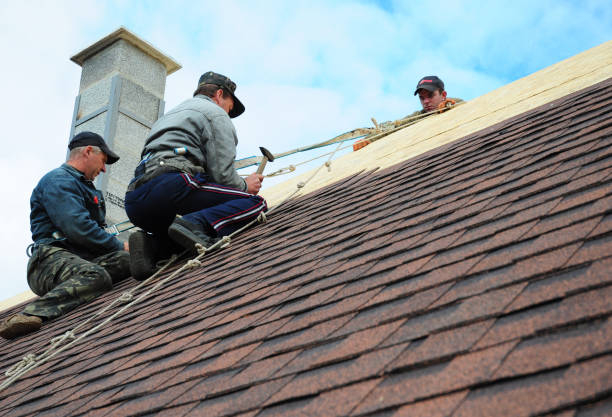 Tile Roofing Contractor